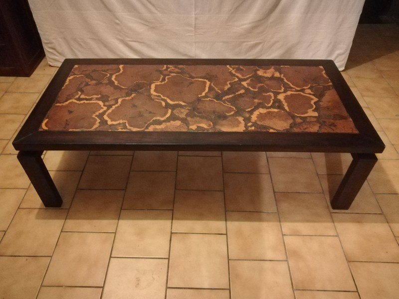 Exotic wood and petrified wood top coffee table