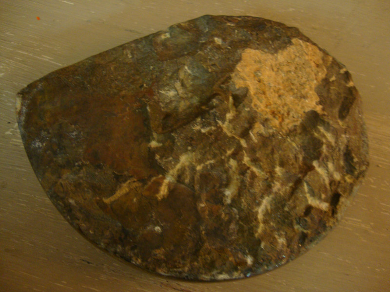 Fossil