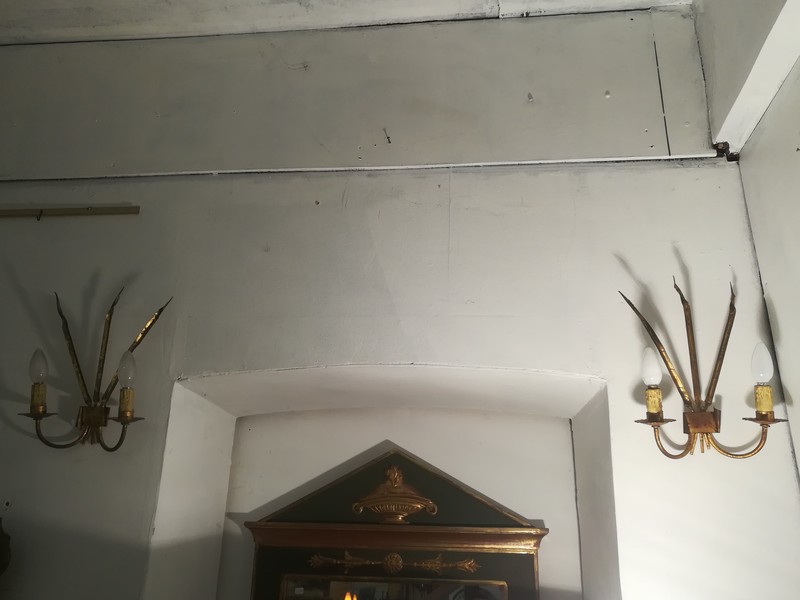 Pair of golden metal sconces with reed leaves