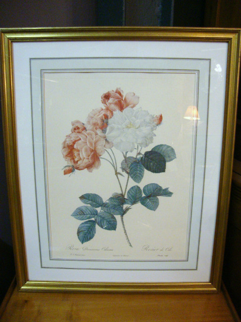 Set of 5 prints of different flowers