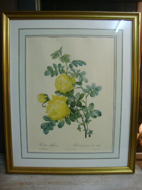 Set of 5 prints of different flowers